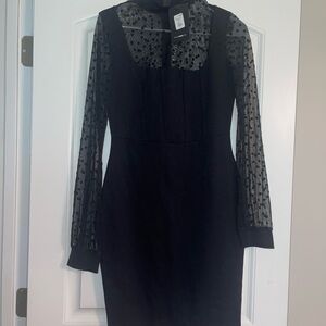 Fashion Nova Black Sheath Dress with Peter Pan Collar